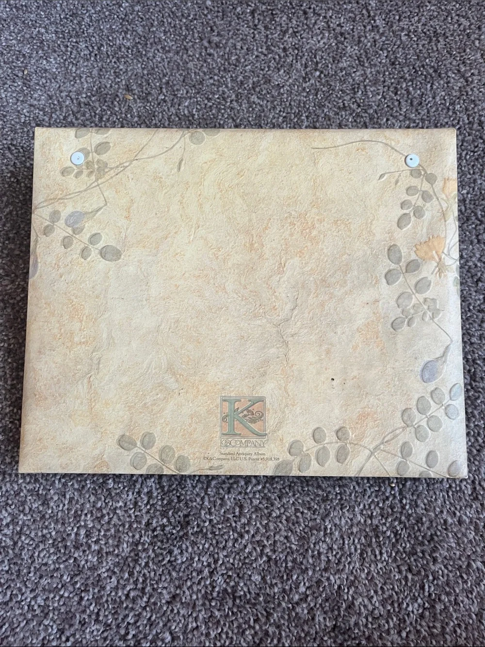 Personalize This Album Decorative Floral Photo Frame - Green and Cream